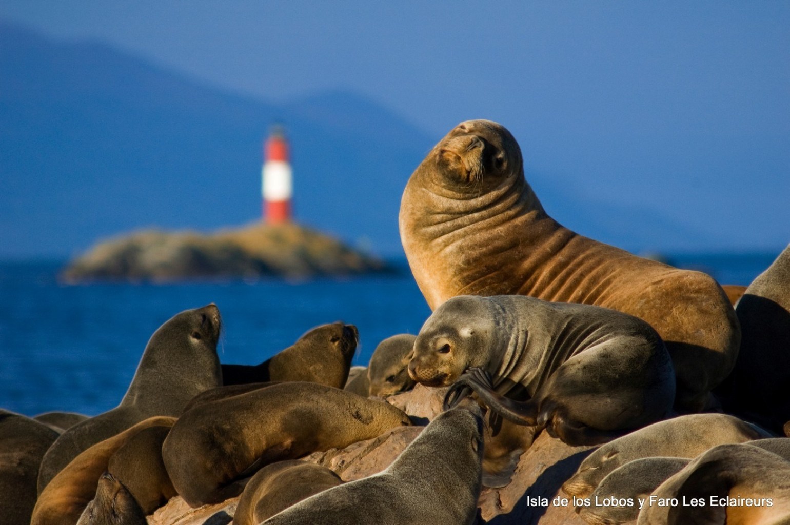 Aa oto%c3%b1o en ushuaia 19 large