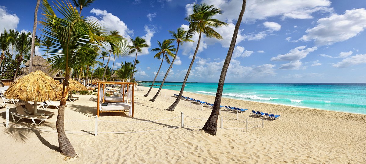Catalonia gran dominicus  1