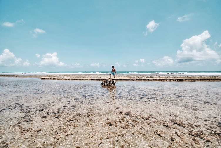 Porto de galinhas