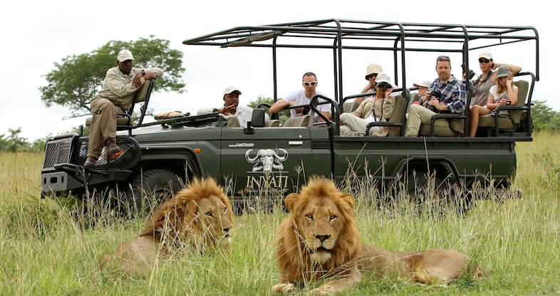 Inyati safari game drive 786x416
